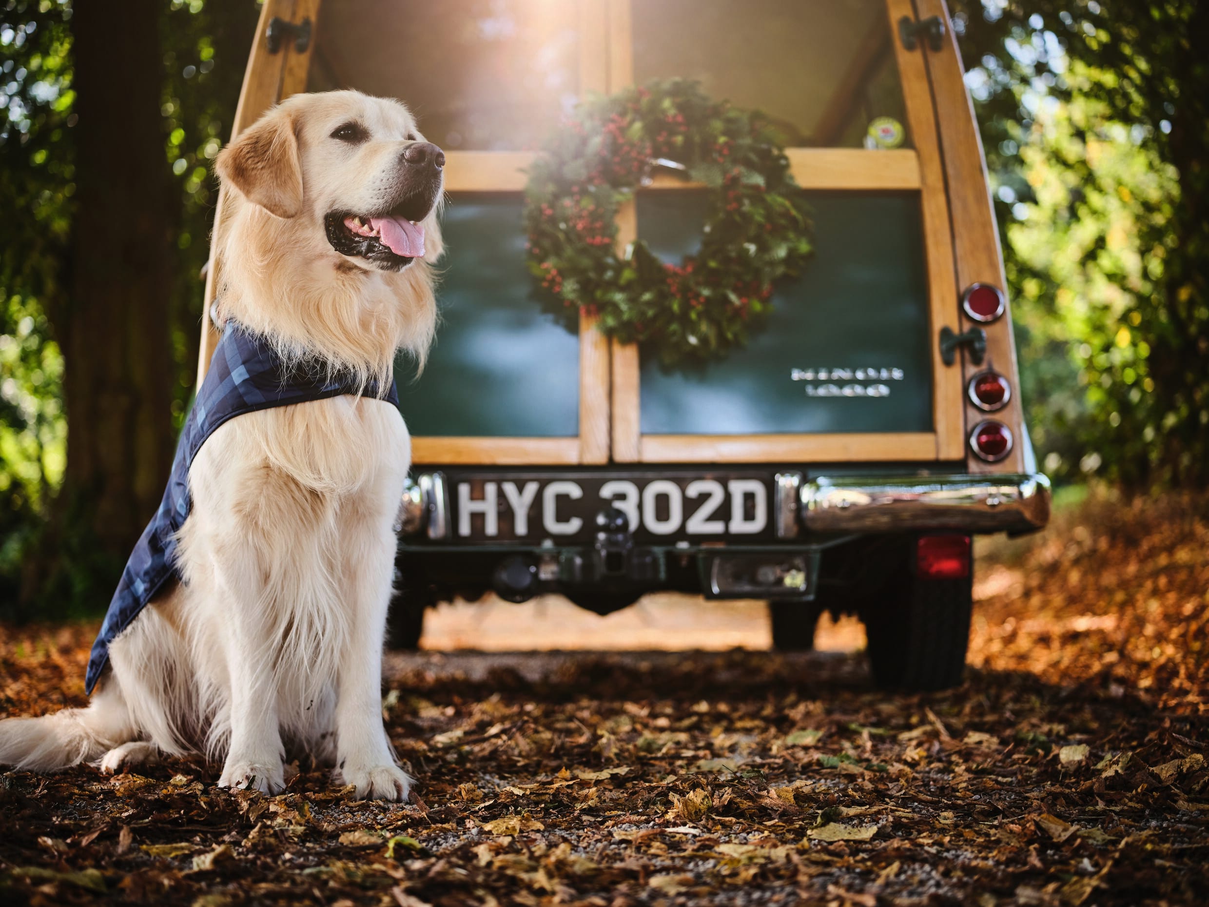 High-res-Xmas-Dog_RDE029_Aldo.jpg