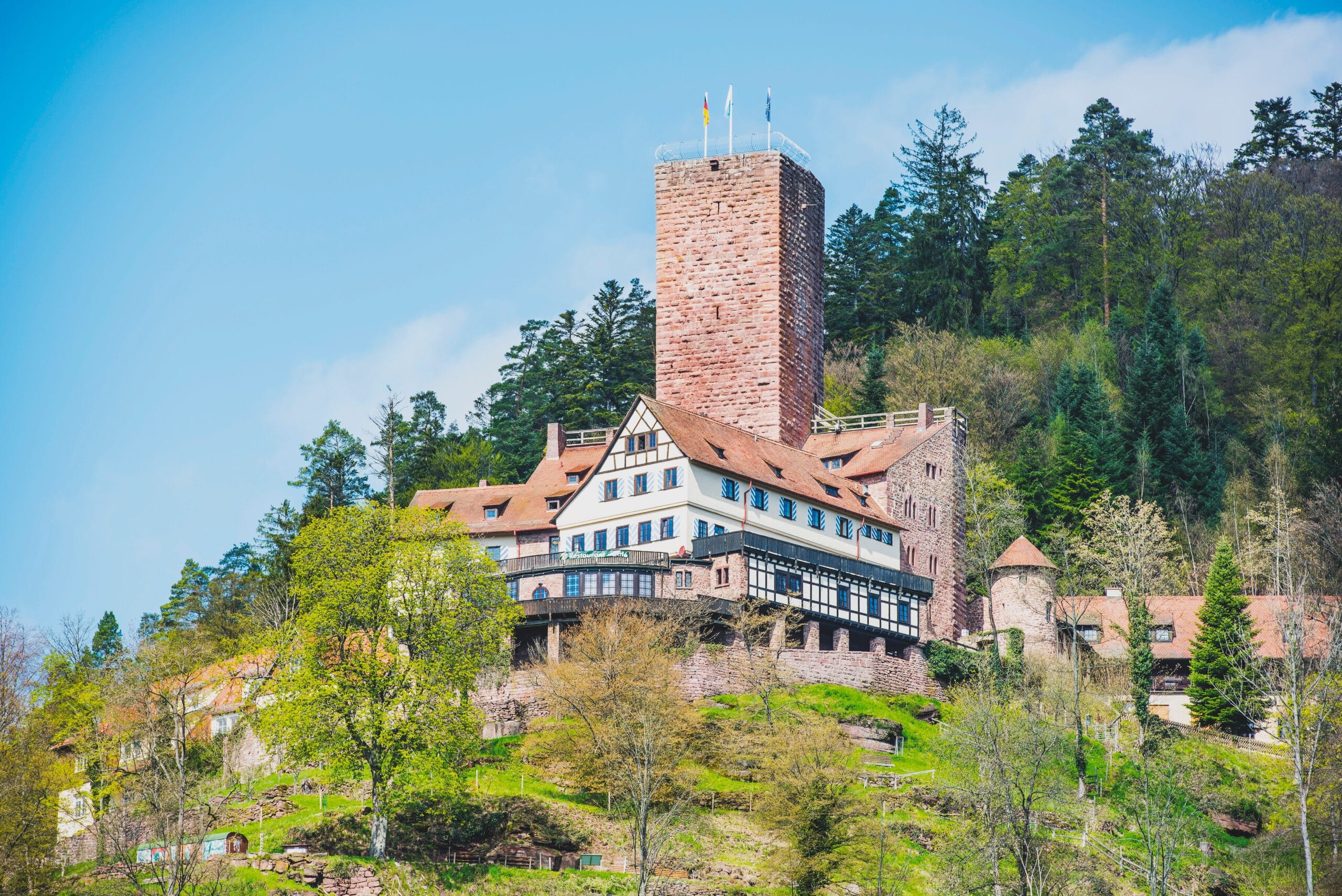 Burg-Liebenzell-scaled.jpeg