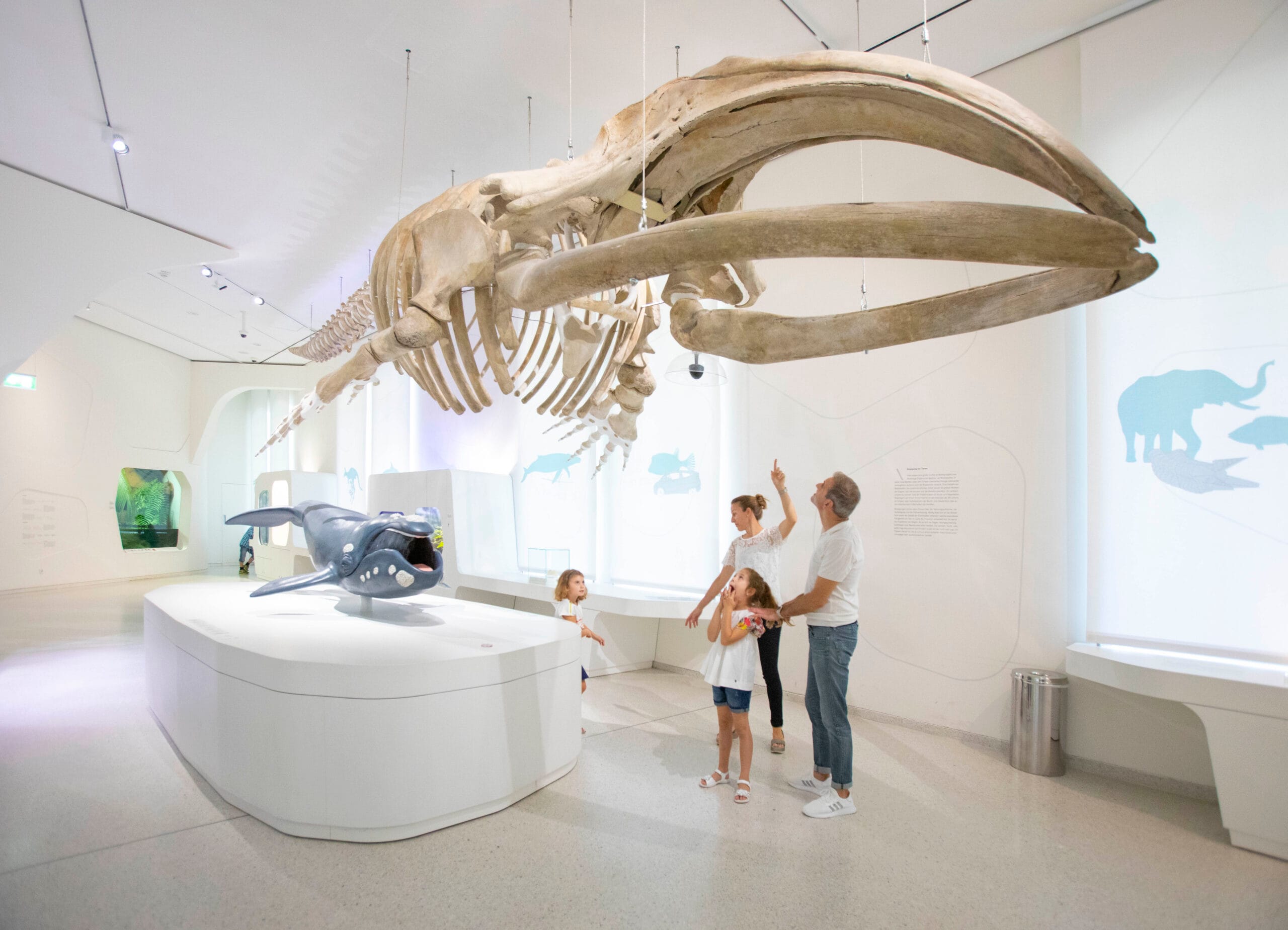 Staatliches-Museum-fur-Naturkunde-©-KTG-Karlsruhe-Tourismus-Foto-Juergen-Roesner-scaled.jpg
